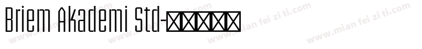 Briem Akademi Std字体转换